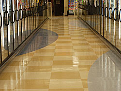 Our Work